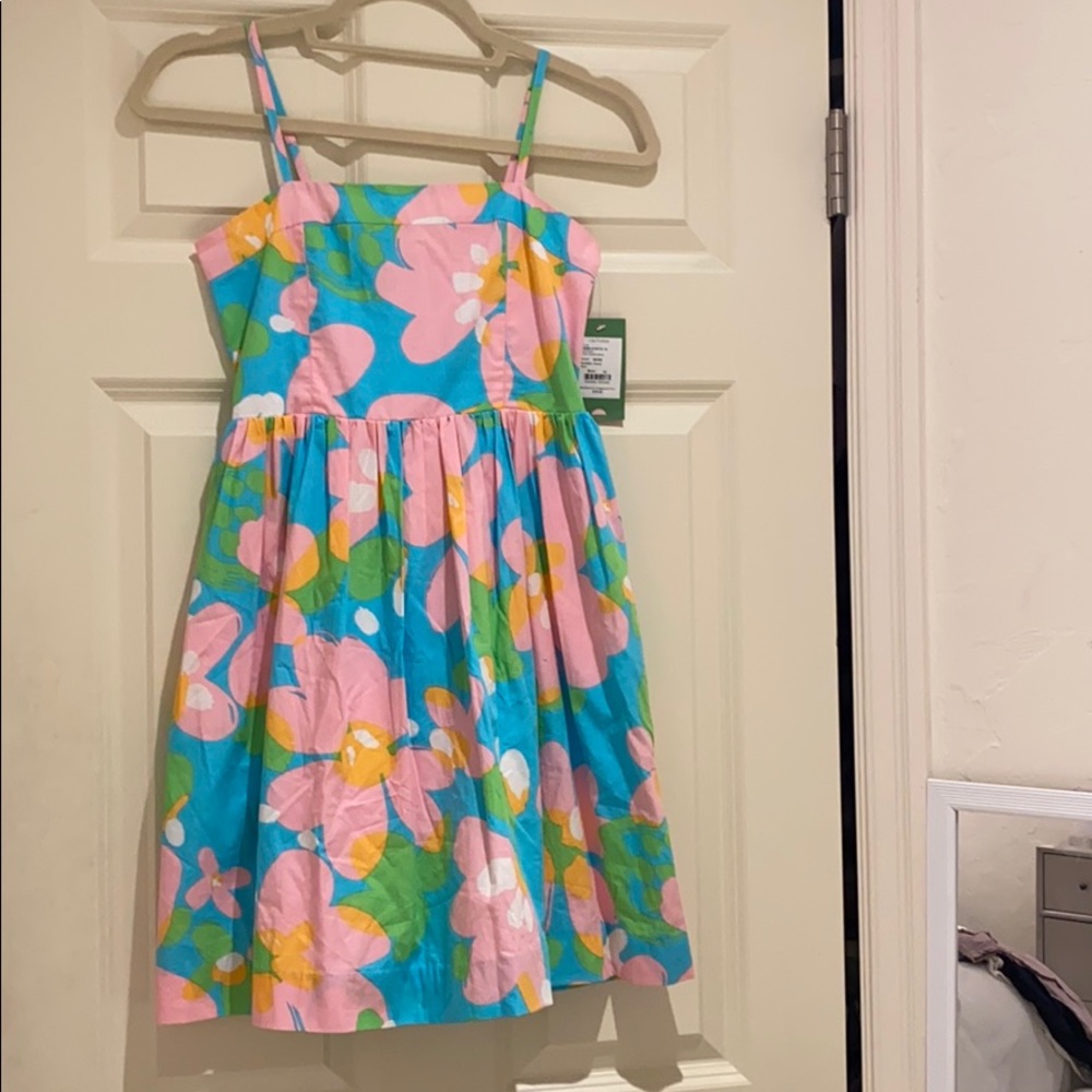 lilly pulitzer dress